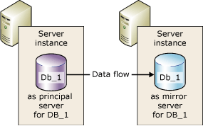 Partners in a database mirroring session